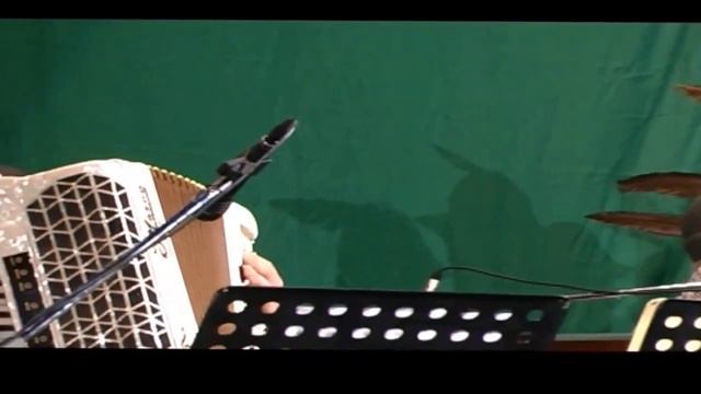 Marianna Lanteri & Coro A.N.A Valnure Piacenza 04.11.2015..PENNA NERA... смотреть онлайн