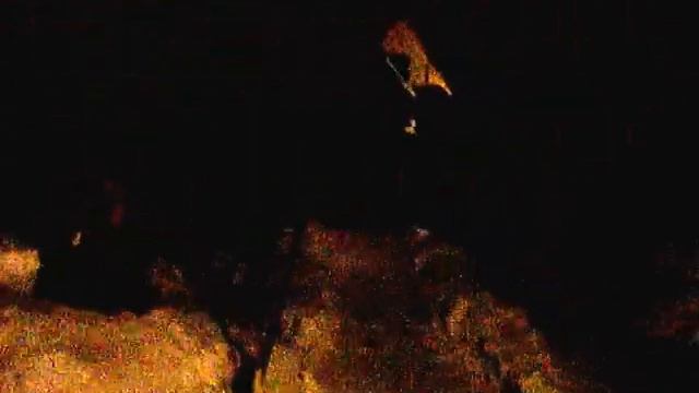 Полярная ночь в Жарках смотреть онлайн