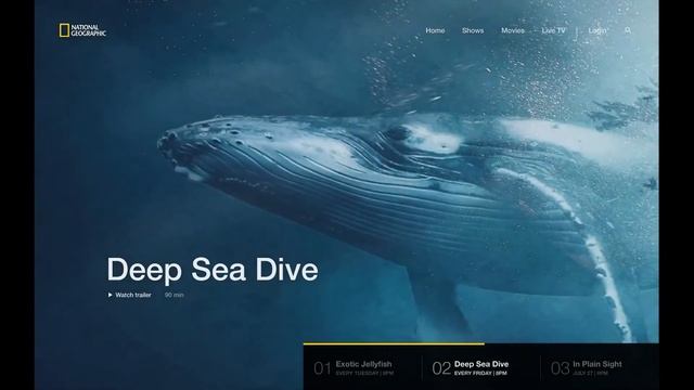 Figma Prototype of National Geographic website. смотреть онлайн