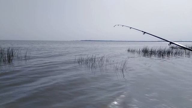 Морская рыбалка. Тонны пеленгаса. смотреть онлайн