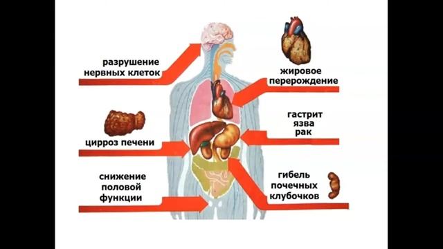 Беседа "Жизнь без вредных привычек" смотреть онлайн