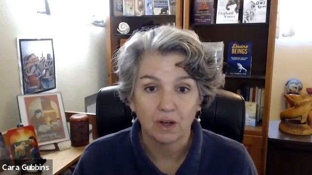 November Monthly Forecast with Animal Wisdom Oracle Cards You can do it all! смотреть онлайн