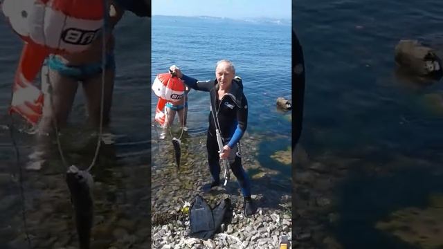 Ружье "Кальмар" в проливе Босфор восточный. Мост на остров Русский. смотреть онлайн