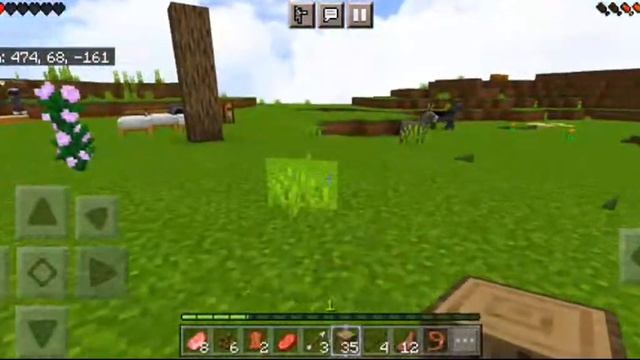 New SMP for Minecraft Pocket Edition 1.19.51 #live смотреть онлайн