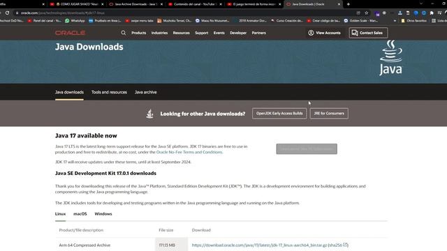 El juego terminó de forma incorrecta exit code 1versión1.18.1 1.18.2 2021 | launcher fenix minecraf смотреть онлайн