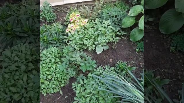 Осенние работы в огороде. смотреть онлайн