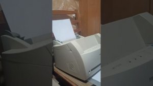 document_5429535438983414470