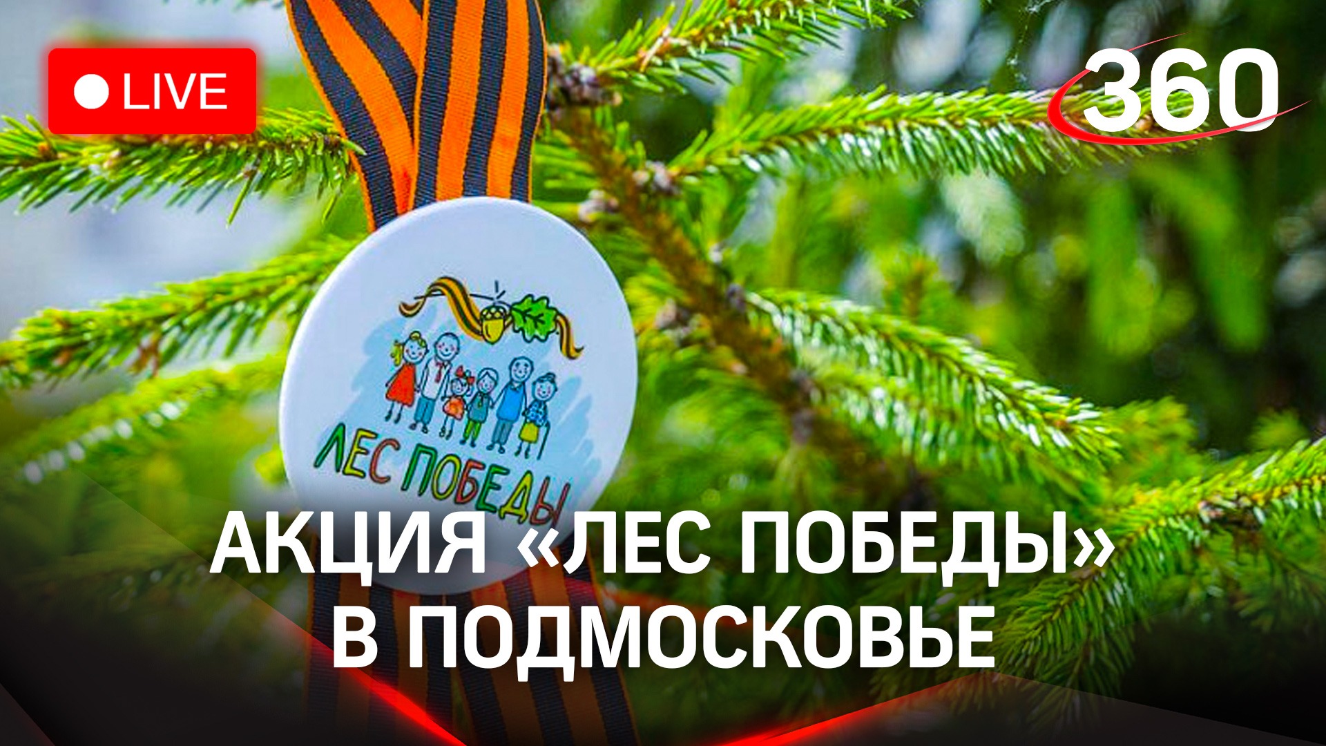 Акция "Лес Победы" стартовала в Подмосковье. Прямая трансляция смотреть онлайн