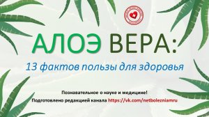 Алоэ вера: 13 доказательств её пользы для здоровья