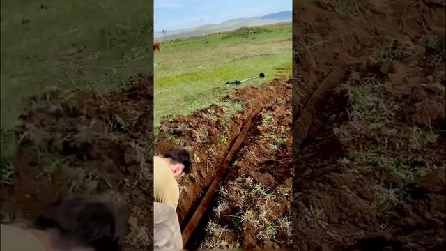 Ищем золото, а попадается... смотреть онлайн