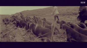 Алеутские острова