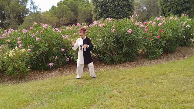 Forma 10 de Taichi. Nancy Páez смотреть онлайн