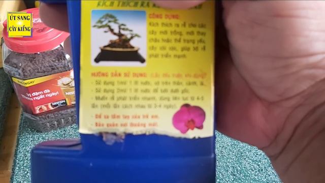 @chia sẽ tưới phân hữu cơ kết hợp cho cây mai tháng 2 Âm Lịch смотреть онлайн