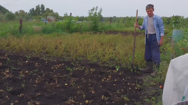 Жизнь в деревне//Огород пустеет// смотреть онлайн
