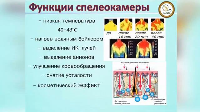 Что такое спелеокамера? Купи готовый бизнес, окупаемость за 3 месяца. смотреть онлайн