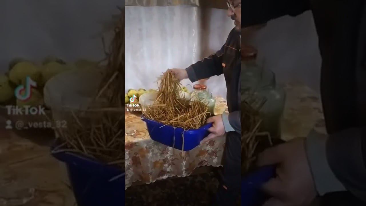 На все руки от скуки