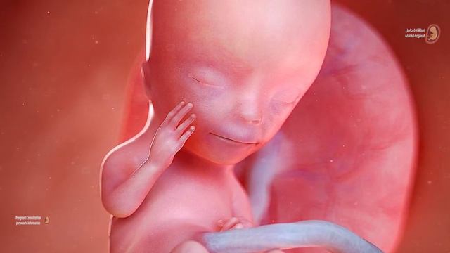 فى هذه الحاله قد يموت الجنين فى الشهر التاسع .. كونى حذره !! смотреть онлайн