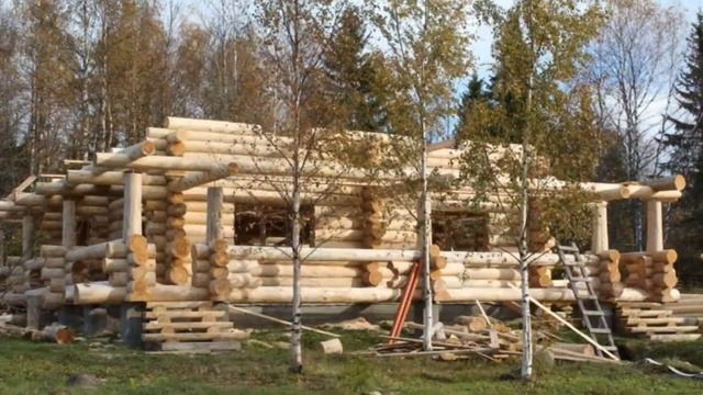 Сруб дома из Карельской сосны на берегу Онежского озера смотреть онлайн