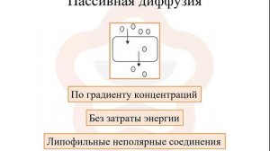 1.3. Фармакокинетика: всасывание (абсорбция)