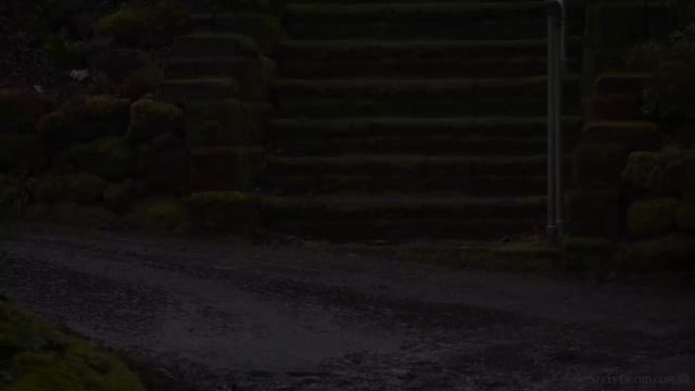► Hard Rain By Mossy Steps ~ Heavy Rainstorm Sounds For Sleeping (No Thunder) | Lluvia, Darker