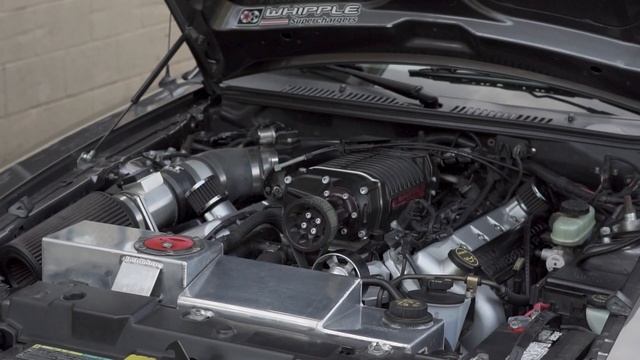 26k Mile DSG Cobra is FOR SALE!! смотреть онлайн