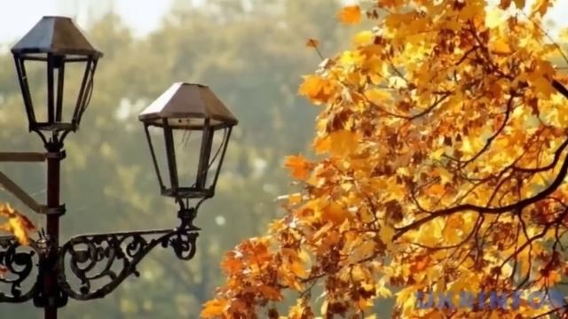 Невестка случайно подслушала разговор свекрови с её дочкой, слова поразили её... смотреть онлайн