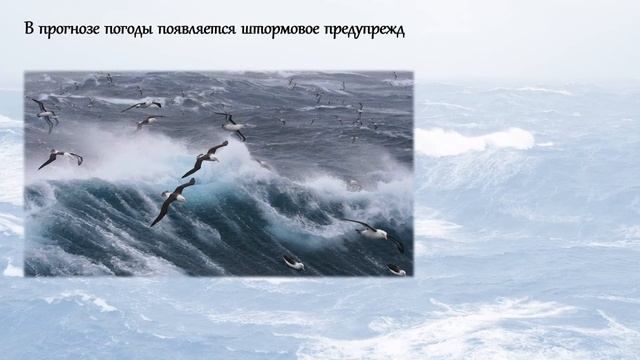 Кристина Хойновская-Лискевич и её "Мазурка" (часть 3) смотреть онлайн