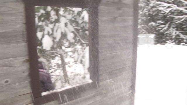 Школа № 1 январь 2019 местечко Вершинино. смотреть онлайн