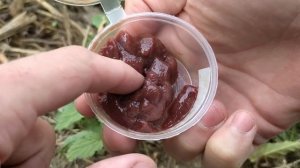 ЛУЧШИЕ НАСАДКИ ДЛЯ ЛОВЛИ КАРАСЯ РАННЕЙ ВЕСНОЙ! С ЭТИМИ ДВУМЯ НАСАДКАМИ БЕЗ УЛОВА НИКОГДА НЕ УХОЖУ!