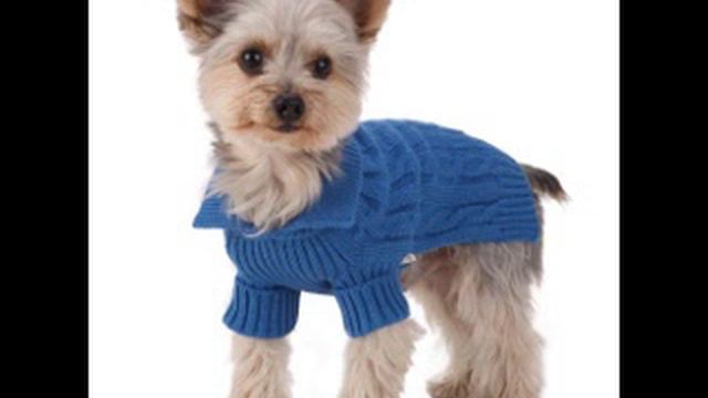 одежда собак овчарок