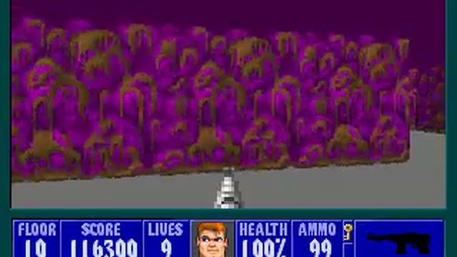 Wolfenstein 3D: Level 10 (secret level) смотреть онлайн