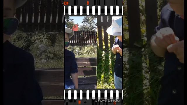 Папин бродяга,мамин симпотяга - Олег Кензов смотреть онлайн