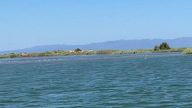 Delta Del Ebro. Почему дельта реки уникальна.