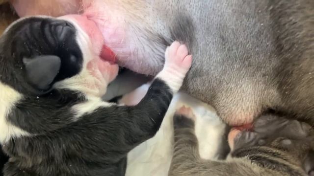 Гадания и предсказания