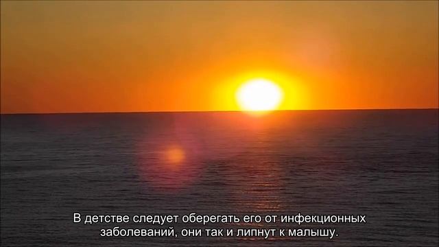 Значение имени Ян. Толкование, судьба, характер смотреть онлайн