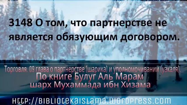 3148 О том, что партнерстве не является обязующим договором смотреть онлайн