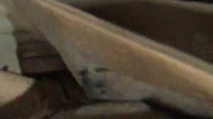 Chevrolet-Lacetti. Стук рулевой рейки.