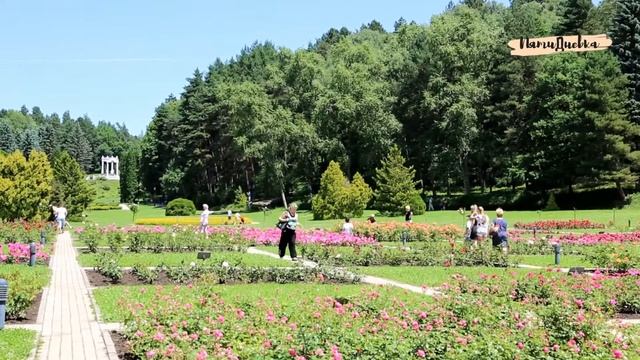 Особый мир "Долины роз" смотреть онлайн