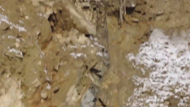 SKI UA/НА БУКОВЕЛЕ ЕСТЬ СКАЛЫ? смотреть онлайн