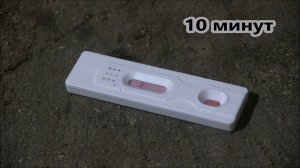 Экспресс тест на трихиниллез