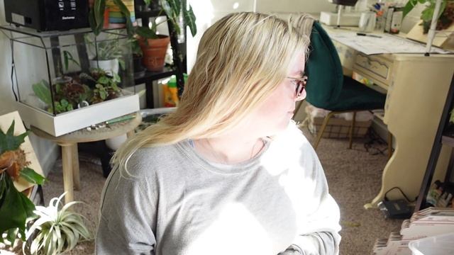 A Tour Of My Plant Shop & How I Sell & Ship My Plants!