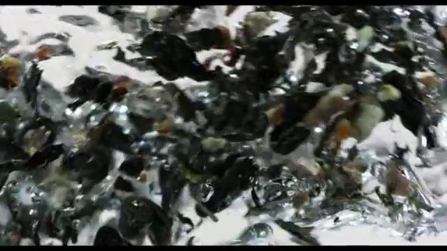 TESS Lotos смотреть онлайн