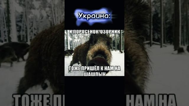 Национальное животное 🇺🇦⚔️🇷🇺 смотреть онлайн
