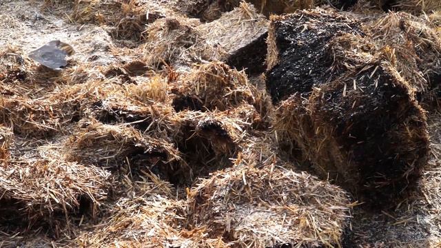 пожар в Дупница смотреть онлайн