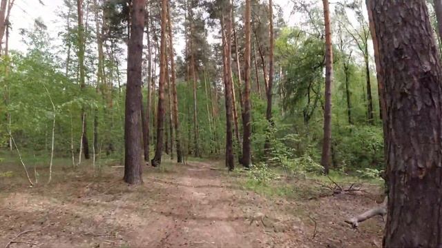 Велопокатушка на Безлюдовку в поисках песка?️?️?️ и сосен ??? Как добывают песок❓❓❓ смотреть онлайн