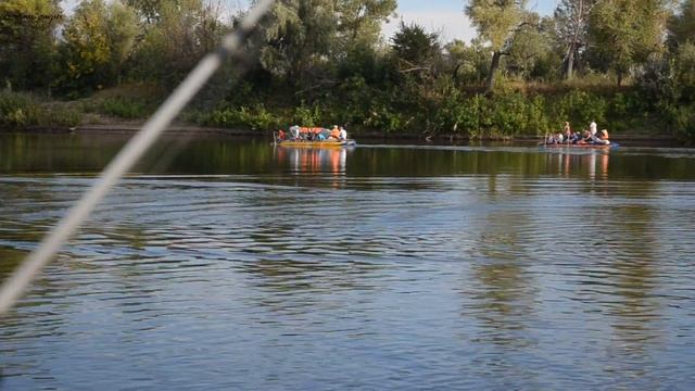 ВОТ ТАК ВСТРЕЧА... РЫБАЛКА НА АХТУБЕ В АВГУСТЕ 2020. смотреть онлайн