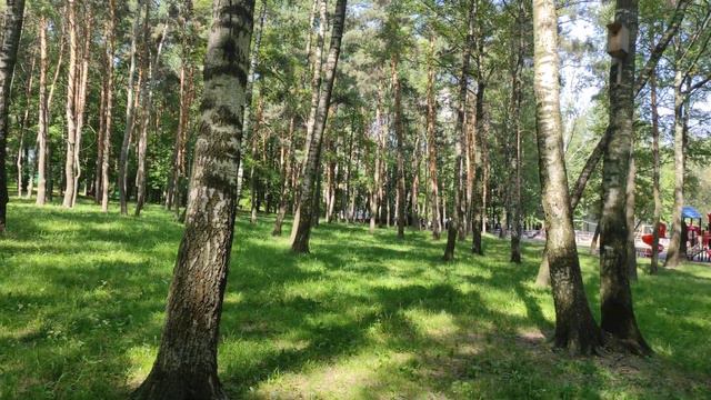 В парке Сосенки смотреть онлайн