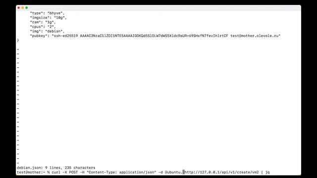 MyBee in Action: curl & nubectl examples смотреть онлайн