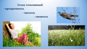 Урок по литературному чтению по теме "С.Я. Маршак "Голос в лесу"" или "В лесу над росистой поляной"