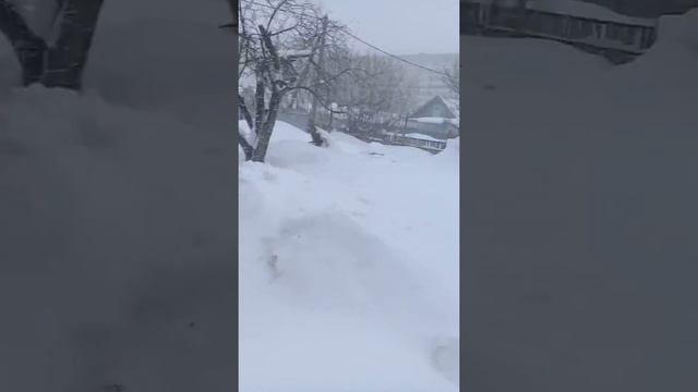 Саратов откопают только весной!????? смотреть онлайн